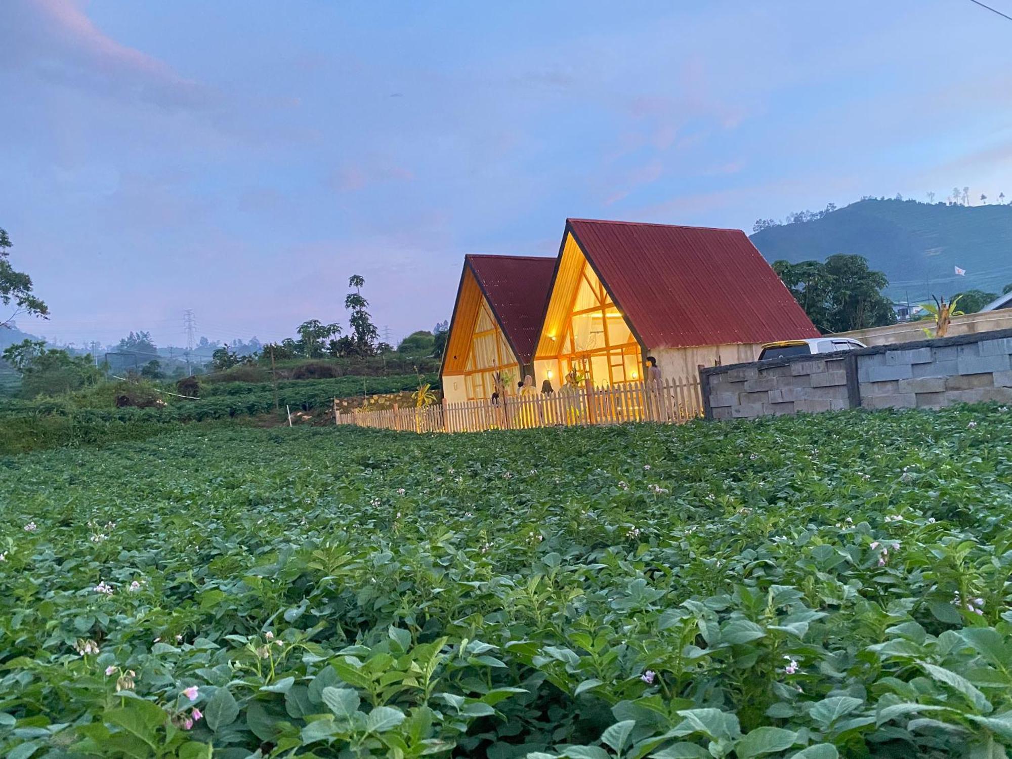 Martos Villa Dieng Diyeng المظهر الخارجي الصورة